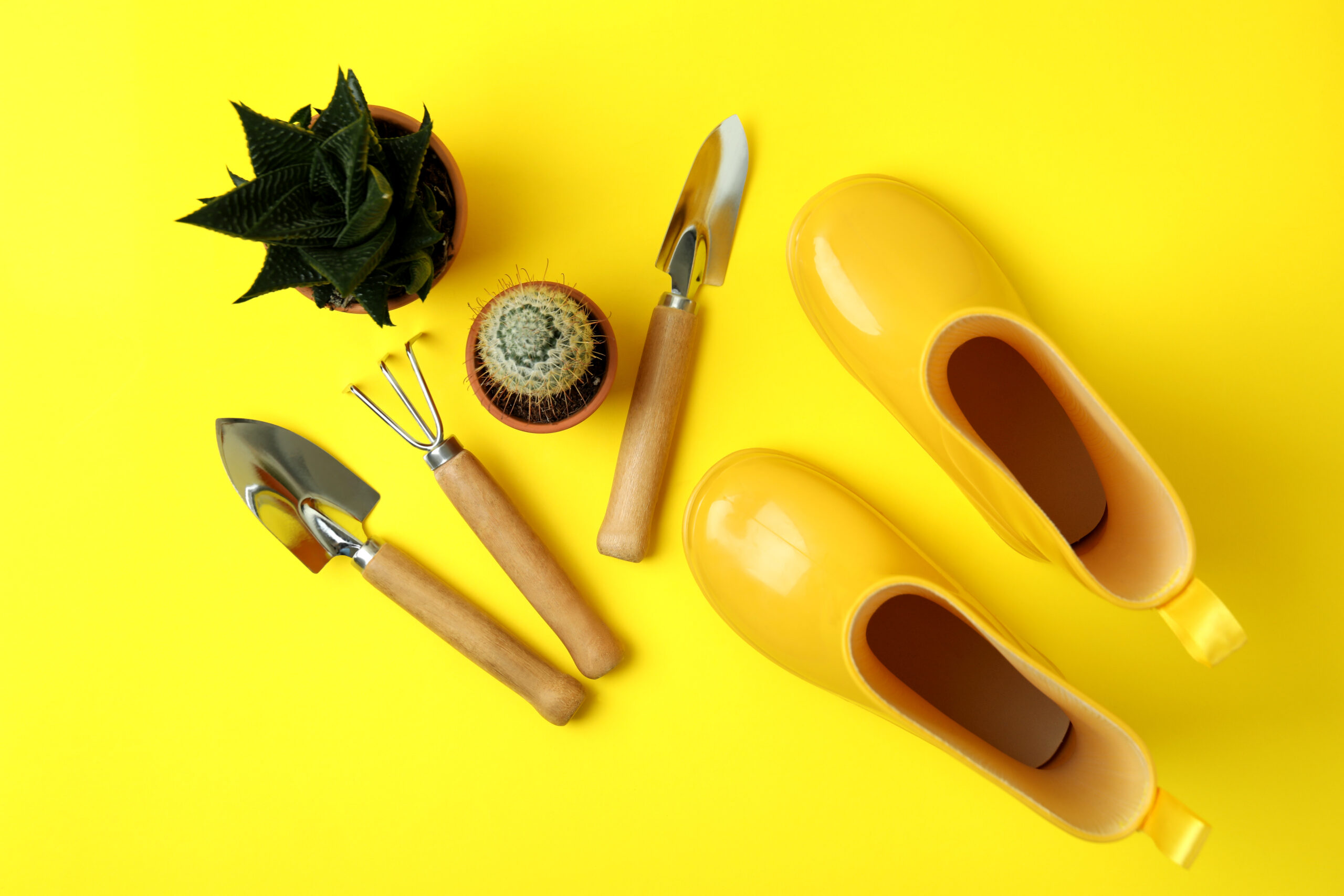 Illustration pour le blog sur l'article IA au service du marketing digital