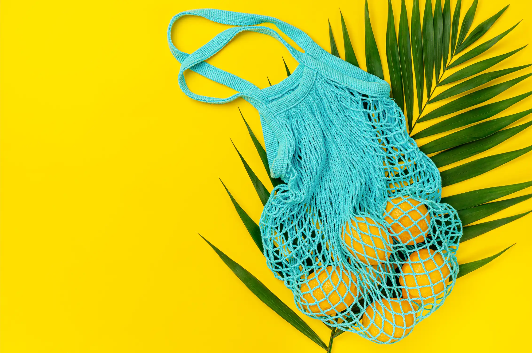 illustration pour article sur la charte graphique